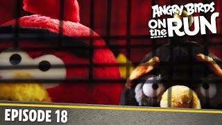 Angry Birds na teku - Vtia klietka