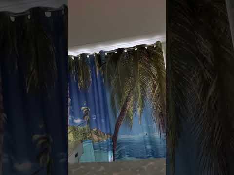 Video realizado por la propiedad