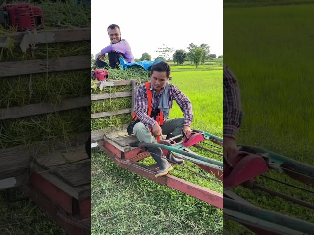 บ่ง้อข่อยเลยจ้า #เรไรสายฮาchannel #funny #comedy #ตลก