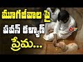 Tirumala: Pawan Kalyan  Kind Heart on Pets