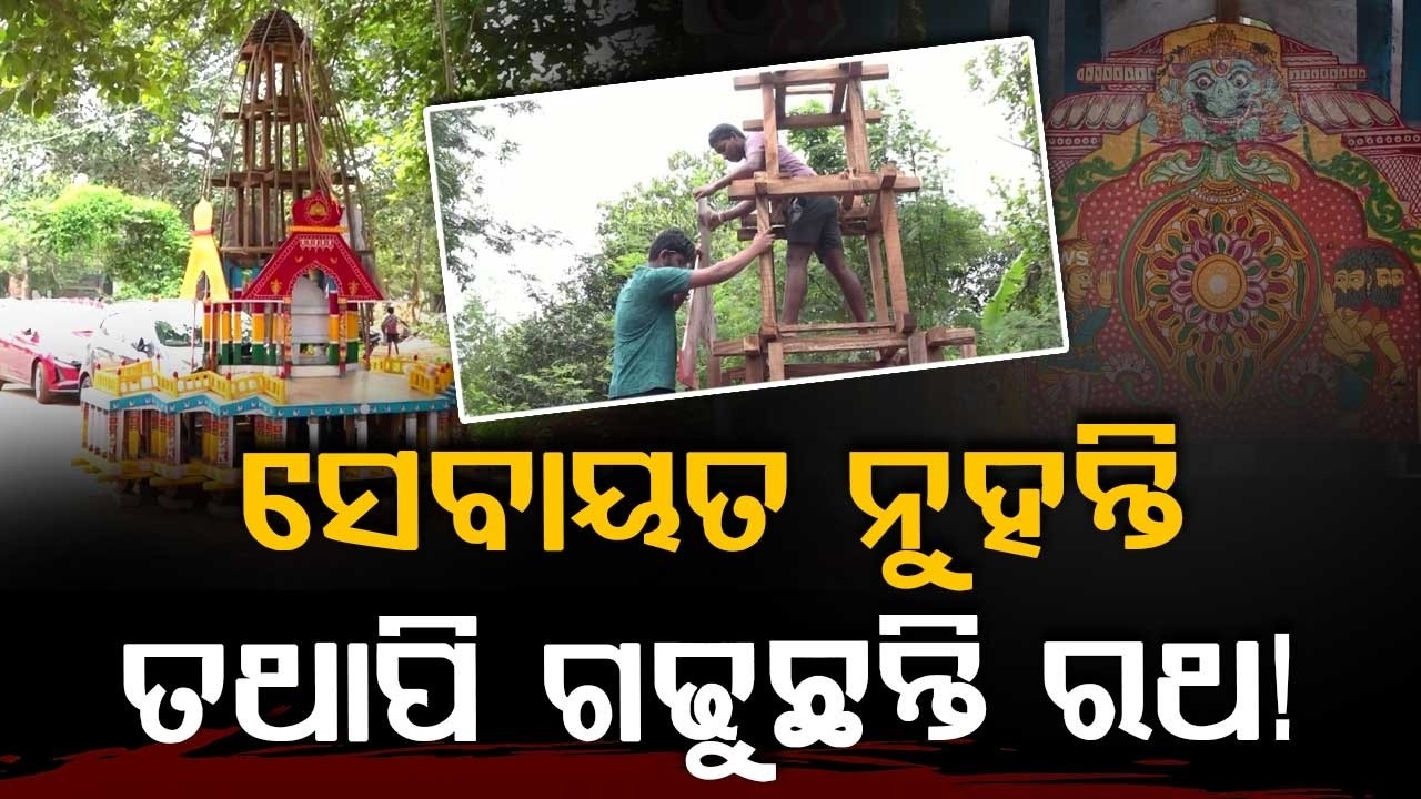 Meet Sumit Das, A Non-Servitor Crafting Grand Chariots For Lord Jagannath | Argus News