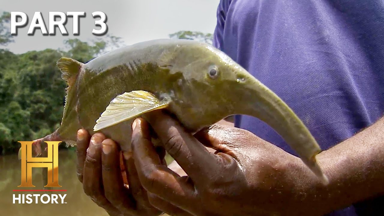 Searching for the Jungle Dinosaur | MonsterQuest | Full Episode (Part 3)
