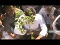 YS Jagan Crossed 1300 km Praja Sankalpa Yatra  : Planted a Plant