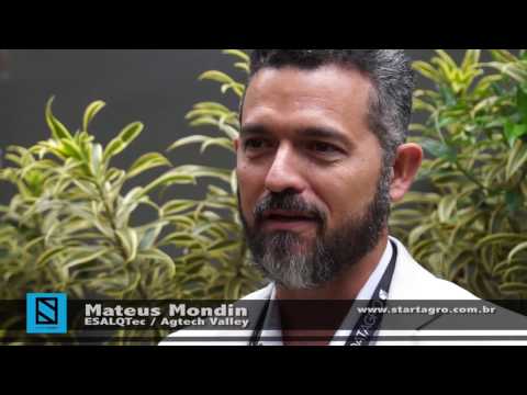 Entrevista com Mateus Mondin