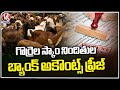ACB Look Out Notices To Accused Who Fled Away To Abroad In Sheep Scam | Hyderabad | V6 News