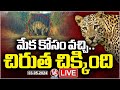 Live : Forest Officers Finally Caught Cheetah By Using Bate As Goat At Shamshabad Airport | V6 News