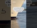 Cruise ship sails into NYC port with dead whale across its bow - 00:19 min - News - Video