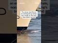 Cruise ship sails into NYC port with dead whale across its bow