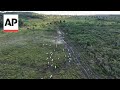 Brazil lawsuits link JBS SA to destruction of Amazon conservation unit