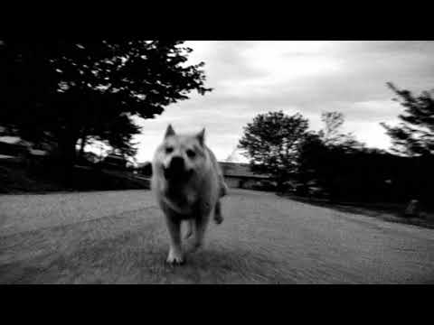 Pixies - Where Is My Mind