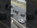 Horses escape and surprise highway drivers in Ohio  - 00:28 min - News - Video