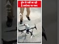 Drone से रखी जा रही है Ayodhya पर नजर