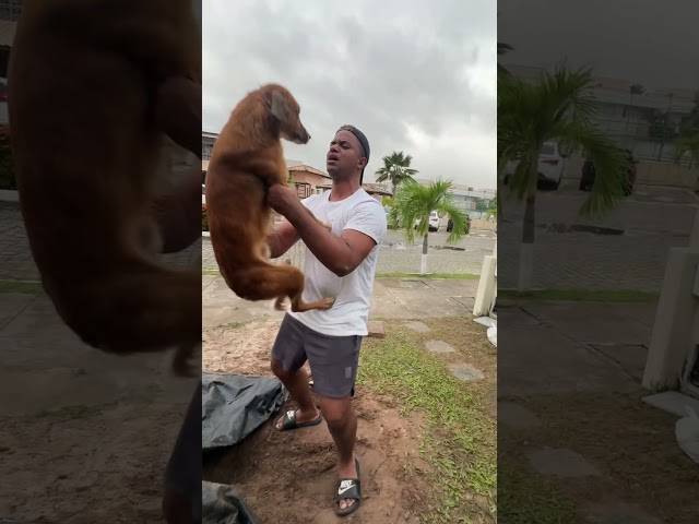 O NOSSO CACHORRO CAIU NO BURACO #thallyeleo #shortsviral