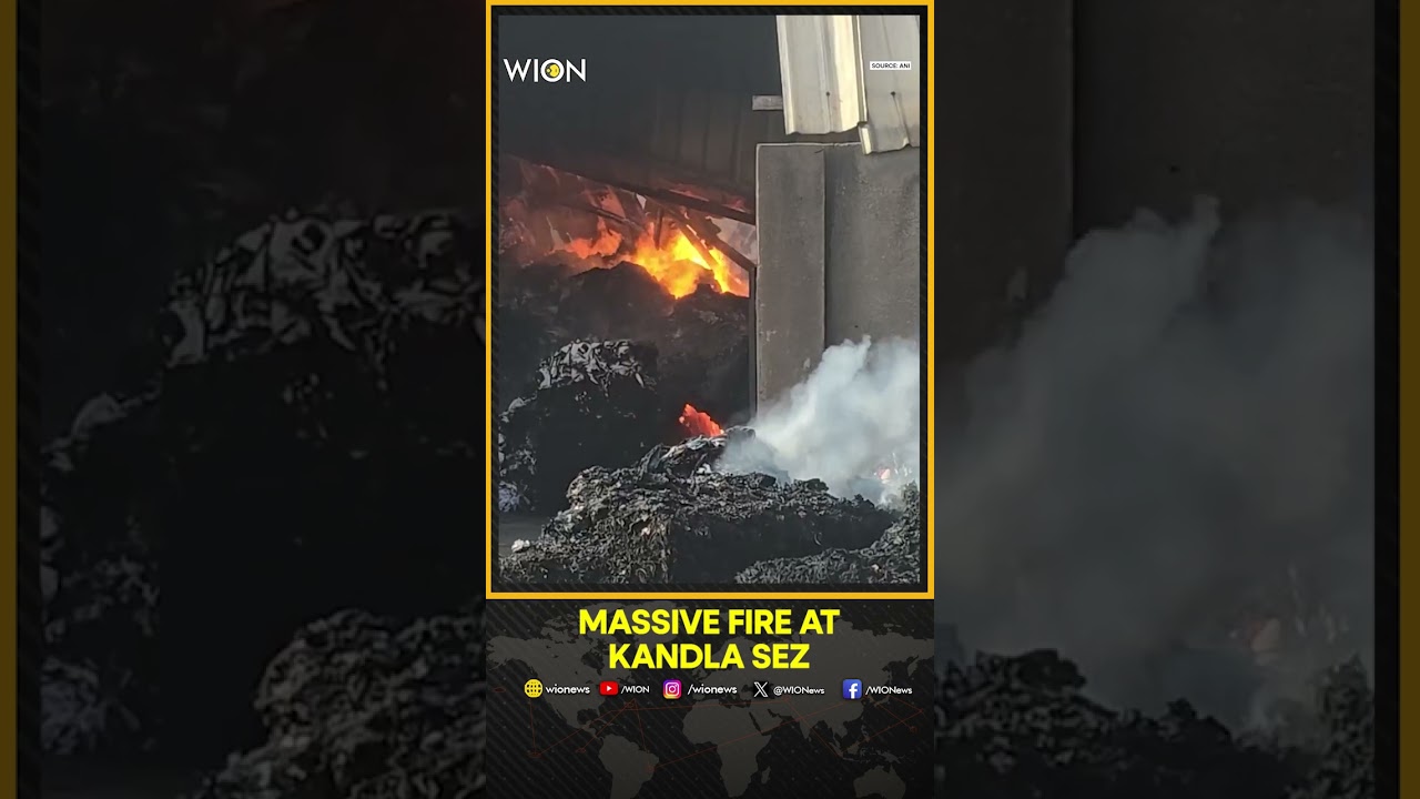 Gujarat: Massive Fire Breaks Out at Two Companies in Kandla SEZ, Firefighters Battle Blaze | WION