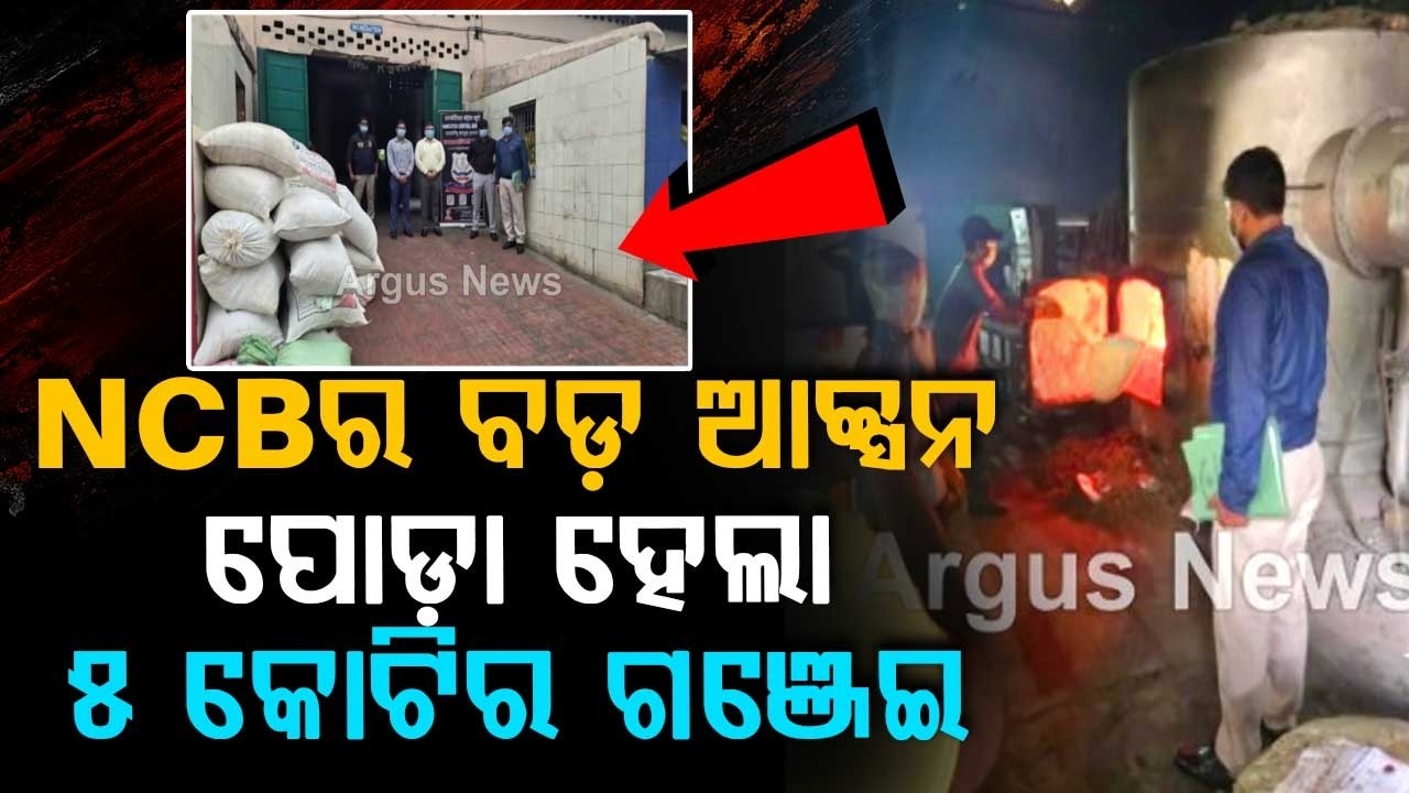 NCB Massive Action In Bhubaneswar: Over 1000 Kg Of Ganja Worth Rs 5.38 Cr Destroyed | Argus News