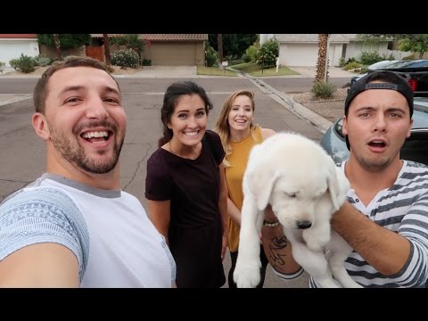 BRINGING HOME OUR NEW PUPPY!!