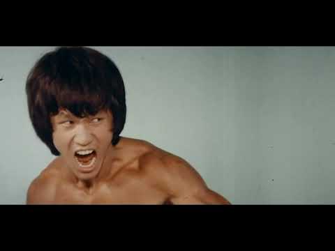 The Clones of Bruce Lee'