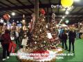 Festival of Trees - Kennedy Krieger Institute, Timonium, MD, US - Pictures