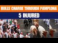 Bulls Injure 5 on Day 6 of Spain’s San Fermin Festival | Iconic Bull Run | News9