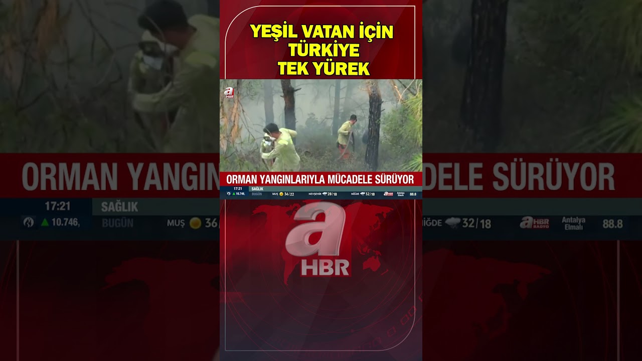 Yeşil Vatan için Türkiye tek yürek! | A Haber