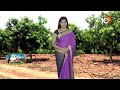 రాళ్ళభూమిలో రతనాలు పండిస్తున్న రైతు | farmer Earn Profits cultivating in rocky soil | Matti Manishi  - 11:07 min - News - Video