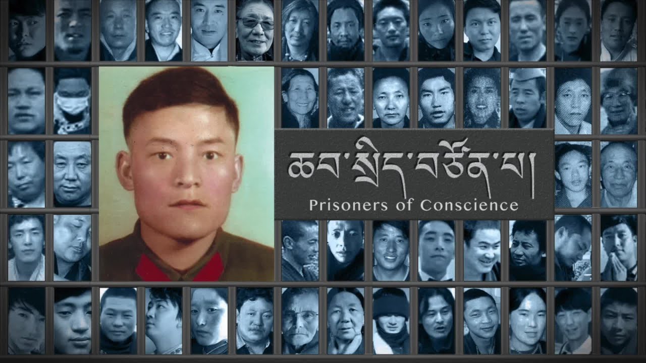 བོད་ཀྱི་ཆབ་སྲིད་བཙོན་པའི་ངོ་སྤྲོད། རྟ་མགྲིན་ཚེ་རིང་། Political Prisoner in Focus TamdinTsering