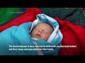 Families with newborns and pregnant women struggle to access to maternity care in war-torn Gaza  - 01:22 min - News - Video