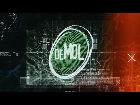 Wie is de Mol? Streaming-editie'