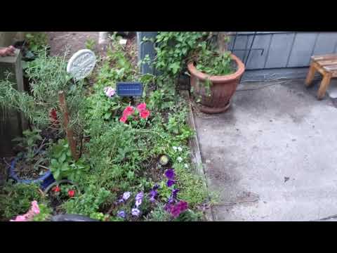 Property video