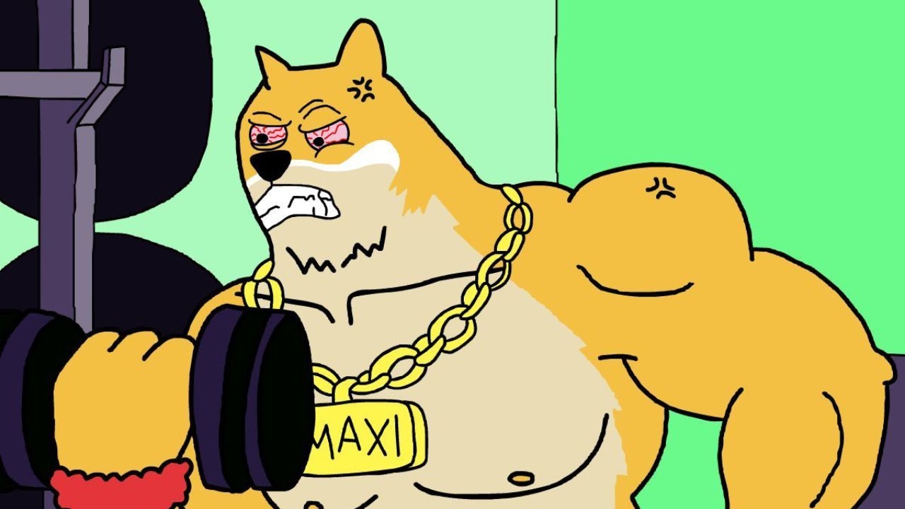 IS THIS PROJECT THE NEXT DOGE COIN?! NEW DOGE CRYPTO MEME COIN!!