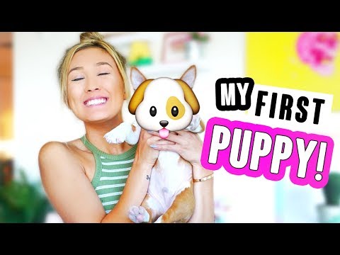 FINALLY GETTING A PUPPY