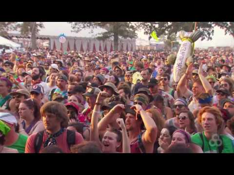 Ween 2016-06-12 Bonnaroo Music & Arts Festival 720p by jakezen72