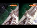Gaza aid pier removed, satellite images show | REUTERS  - 00:40 min - News - Video