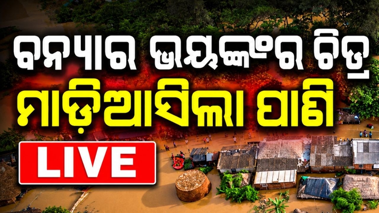 🔴Live | ବନ୍ୟାର ଭୟଙ୍କର ଚିତ୍ର.. | Mahanadi Flood | Flood News Odisha | Flood News Today | Argus News