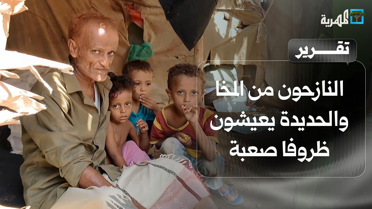 النازحون من المخا والحديدة يعيشون ظروفا معيشية صعبة في زنجبار بأبين
