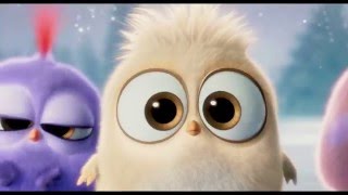 Vesel vianoce od Angry Birds