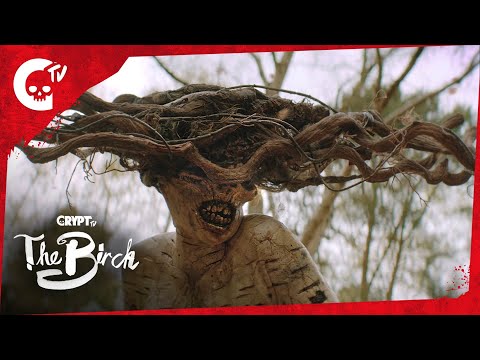 The Birch |