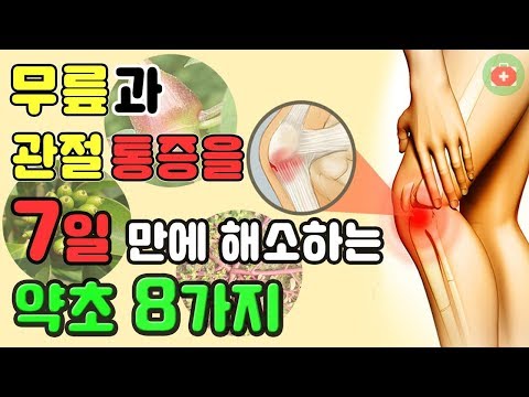 무릎과 관절 통증을 7일 만에 해소하는 약초 8가지 | SHARE 건강정보