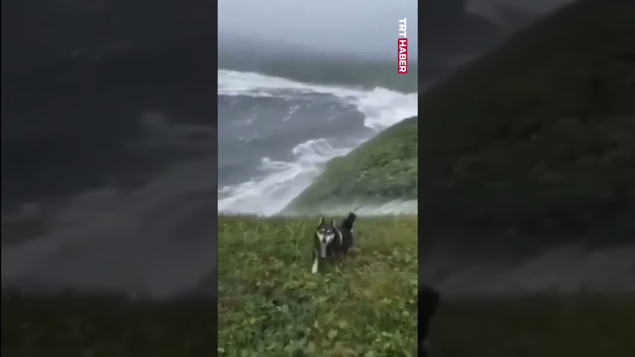 Rusya'daki tsunaminin yeni görüntüleri ortaya çıktı