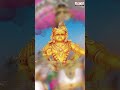 Soulful devotion Akhilaandamu #SwamiyeSaranamAyyappa  #telugudevotionalsongs #devotionalsongs