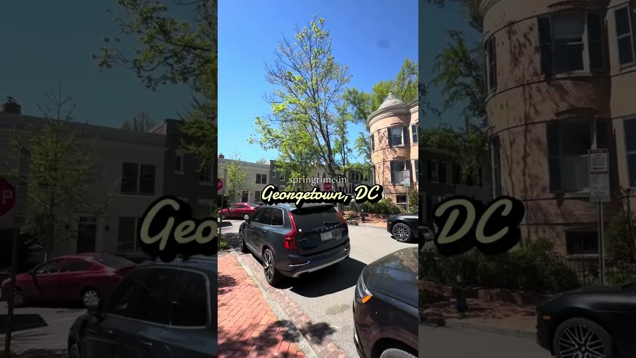 Springtime walk in Georgetown