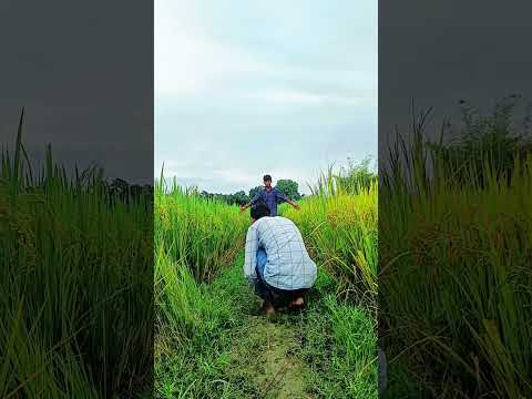 Creative videography tutorial #shorts #shortsvideo