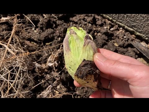 北海道 - 食って寝て生きる - Japan eat sleep and live