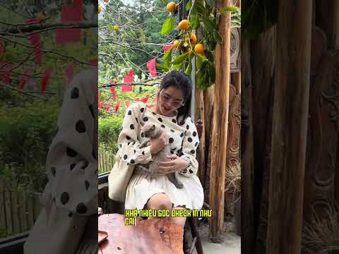 Review vườn hồng chín tại sapa - địa điểm hót cho mùa thu này ..