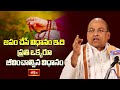 ప్రతి ఒక్కరూ జీవించాల్సిన విధానం ఇదే | Ramana Maharshi | Sri Garikapati Narasimha Rao | Bhakthi TV