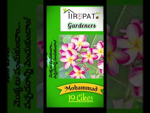 Best pic of the Day 👏 #feedshorts #shortvideo