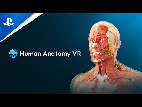 Human Anatomy VR - Launch Trailer | PS VR2 Games
