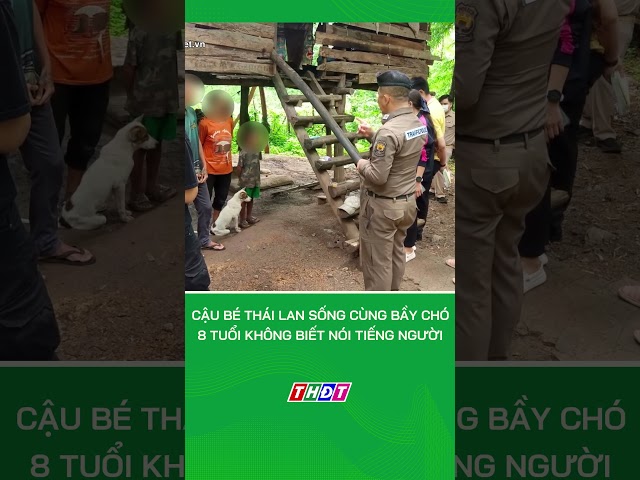 Cậu bé Thái Lan sống cùng bầy chó, 8 tuổi không biết nói tiếng người #nongnghiepmientay