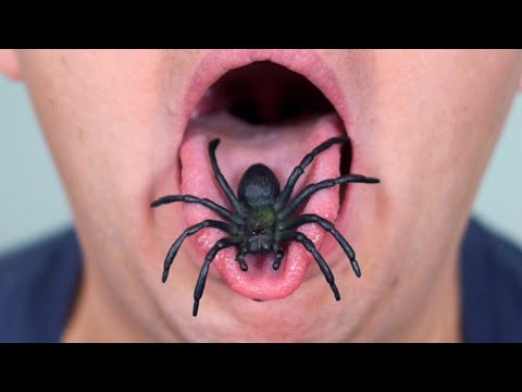 Vücudunuza Bir Örümcek Girerse Ne Olur?