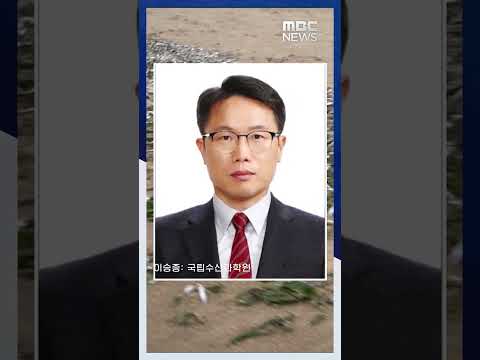 제주 해변 집단 폐사 어류는 정어리‥올해 더 많이 온다 #Shorts (MBC뉴스)